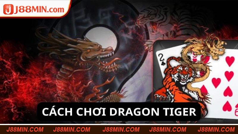 Giới thiệu chi tiết về Dragon Tiger dành cho newbie