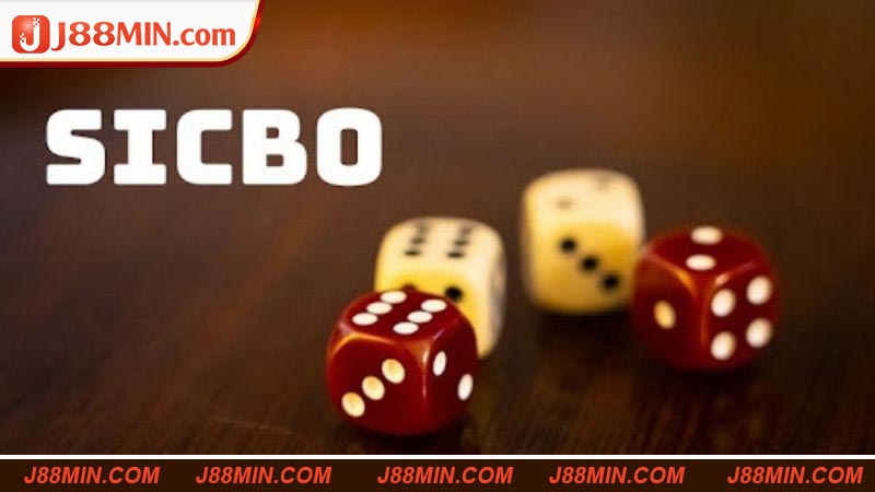 Tổng quan về cách chơi sicbo - game cá cược đổ điển