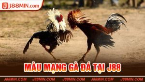 Màu Mạng Gà Đá Tại J88