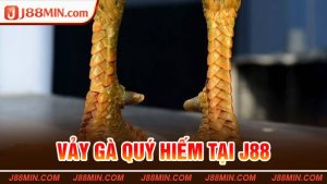 Vảy Gà Quý Hiếm Tại J88