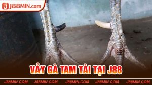 Vảy Gà Tam Tài Tại J88